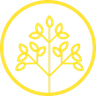 GoldTreeDev